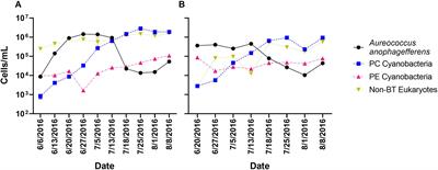 Metatranscriptome Library Preparation Influences Analyses of Viral Community Activity During a <mark class="highlighted">Brown Tide</mark> Bloom